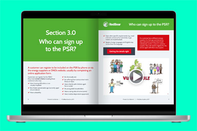 RedBear - Priority Services Register 3