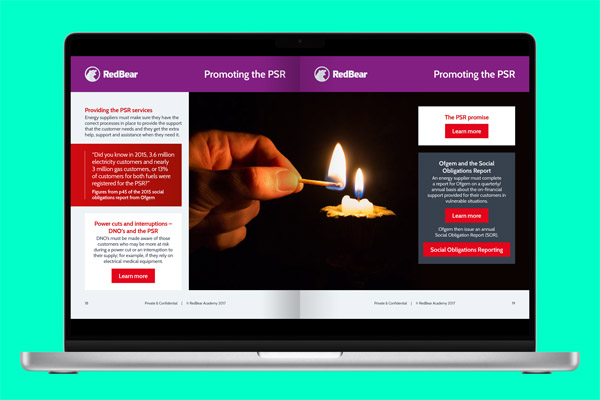 RedBear - Priority Services Register 4