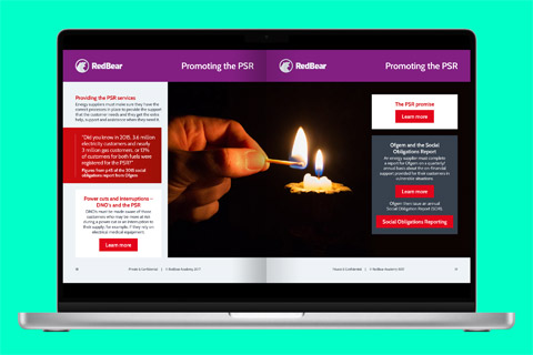 RedBear - Priority Services Register 4