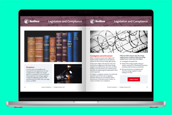 RedBear - Supplier Licence Conditions 4